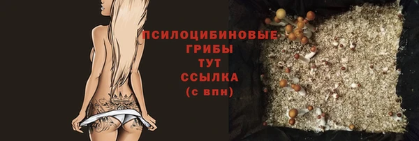 крисы Надым