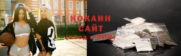 крисы Надым