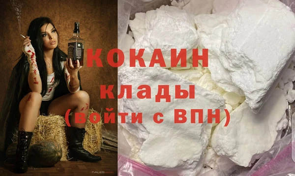 крисы Надым