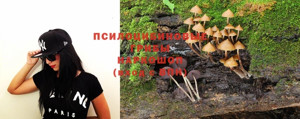 шишки Ахтубинск