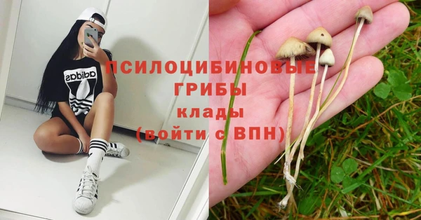 крисы Надым