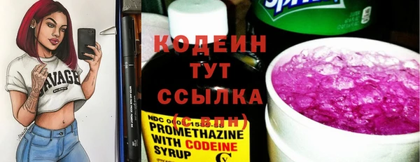 крисы Надым