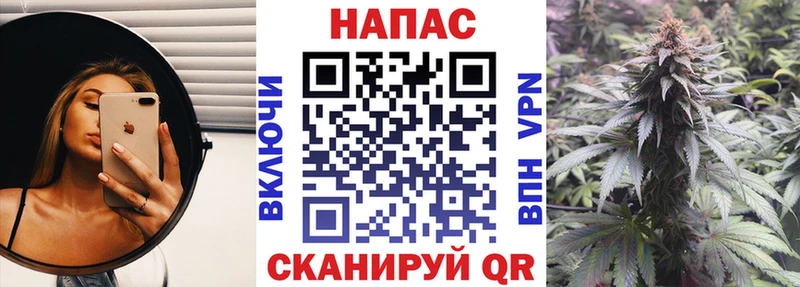 блэк спрут ссылки  даркнет состав  Каннабис индика  где продают   Кирс 